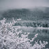 Memory Lane: 1 Year Ago, Our Mt Evans, Colorado Wedding (Professional Photos)