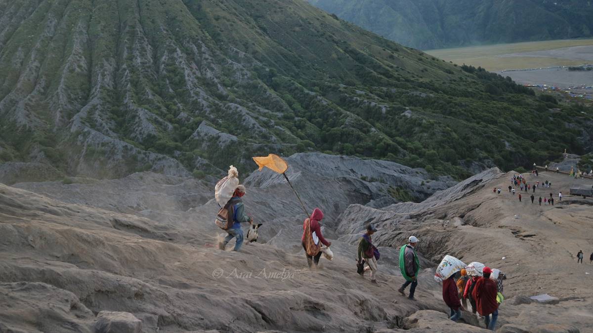 turun dari Bromo usai mengumpulkan sesaji Kasodo