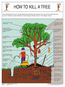 How to Kill A Tree