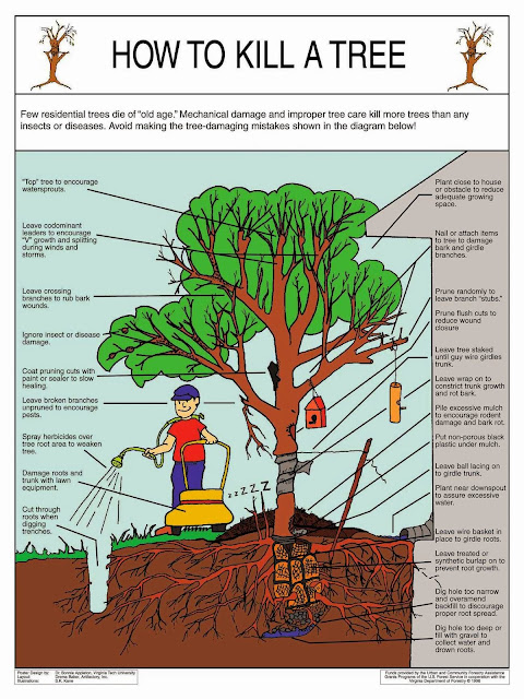 How to Kill A Tree