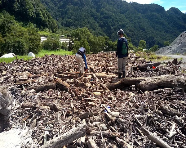 ▲開放彰化海岸線漂流木自由撿拾。（南投林管處提供）