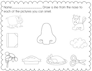 Unit The senses K My Crazy free  Classroom: kindergarten 5 five and a Pre worksheets Senses freebie!