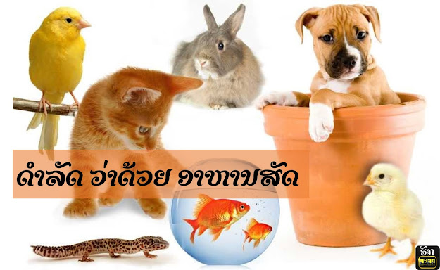 ດຳ​ລັດ​ວ່າ​ດ້ວຍ ອາ​ຫານ​ສັດ, ກົດ​ຫມາຍ​ອາ​ຫານ​ສັດ, ດຳ​ລັດ, ກົດ​ຫມາຍ, ອາ​ຫານ​ສັດ,ດຳ​ລັດ​ອາ​ຫານ​ສັດ