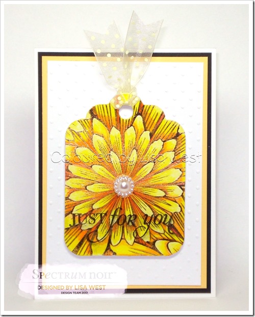 Colourista Foil - Just for You (2)