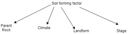 soil forming factor