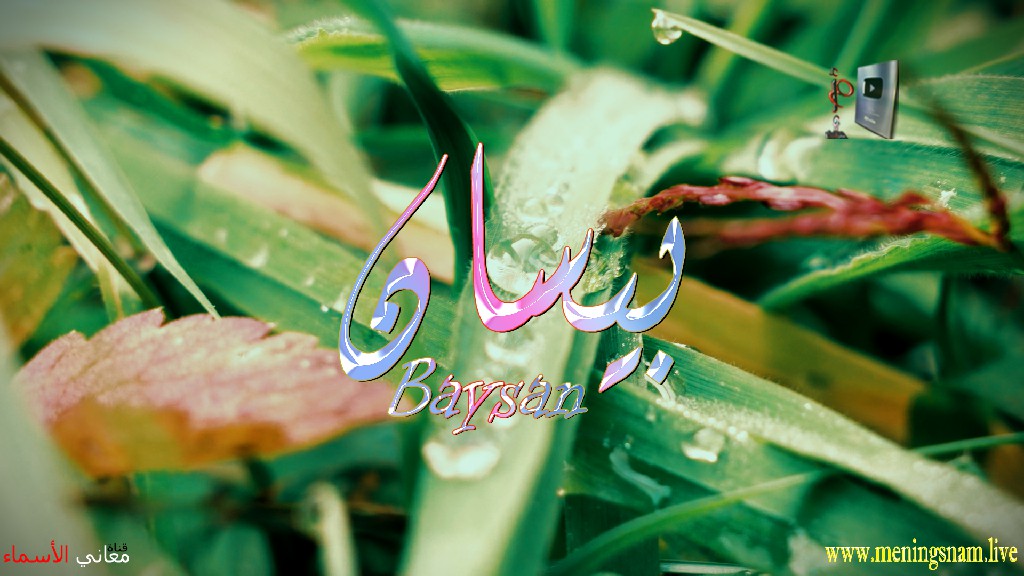 معنى اسم, بيسان, وصفات, حاملة, هذا الاسم, bessan,