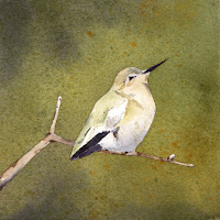 Hummingbird Paintings