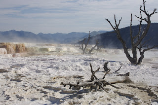 Mammoth terrace Yellowstone