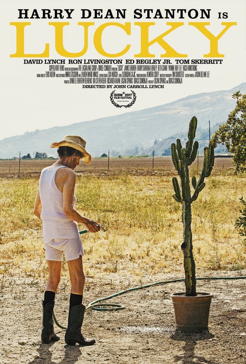 [HD] Lucky 2017 DVDrip Latino Descargar