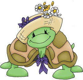 Thena the Turtle
