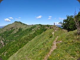 DSC03841