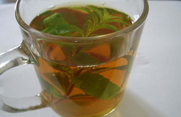 شاي طبيعي لتخفيف متاعب الجهاز الهضمي والقولون 