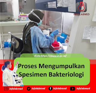 Proses Mengumpulkan  Spesimen Bakteriologi