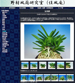  http://www.fuuran.jp/jiman_tamamikage.html