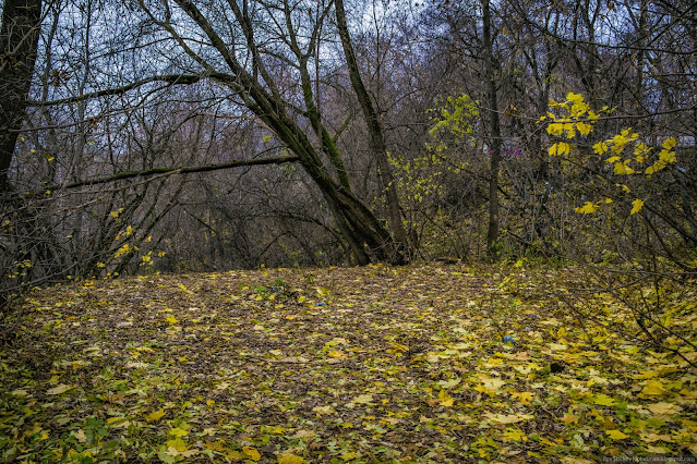 Площадка засыпана желтыми листьями