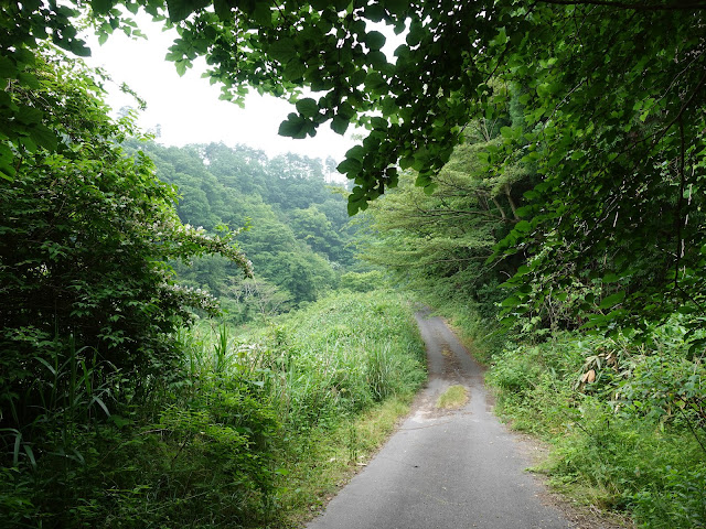 鳥取県西伯郡伯耆町小林　別所川渓流植物園　奥の道