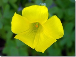 20100107_25