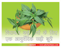 चिरायता कई रोगों के लिए एक आयुर्वेदिक जड़ी बूटी (Chiraita an ayurvedic herb for many diseases)
