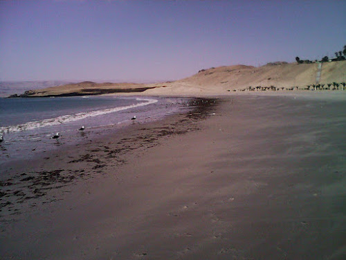 Marcona, Nazca Perú