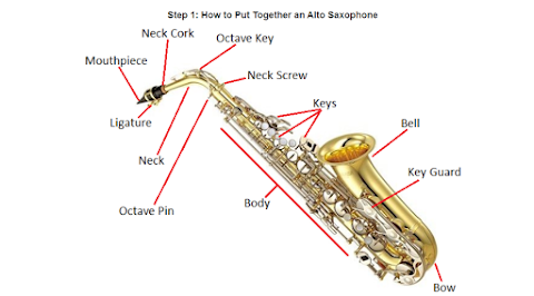 How to Play the Alto Saxophone