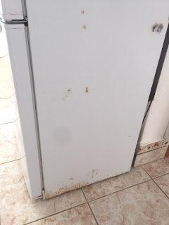 Fridge before