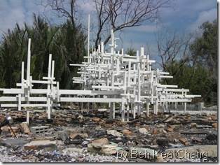 SANY0119