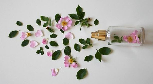 Diferencia entre perfume y colonia natural