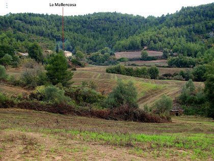 La Mallencosa des de la Costa de la Mallencosa