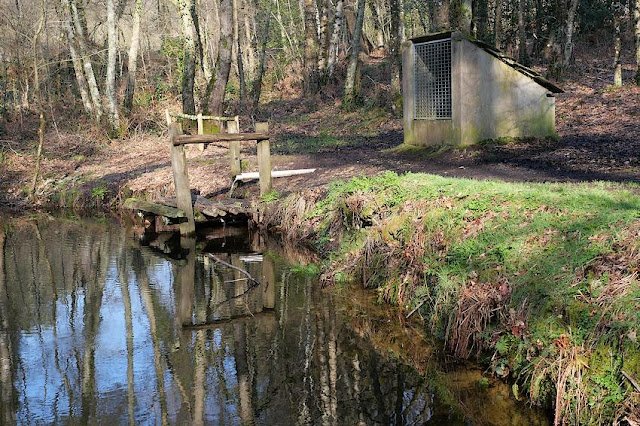 La fontaine de Bivaux à Langon (35)