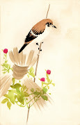Free Vintage Clip ArtHand Painted Autumn Bird Postcard (vcatnipautumnbird)