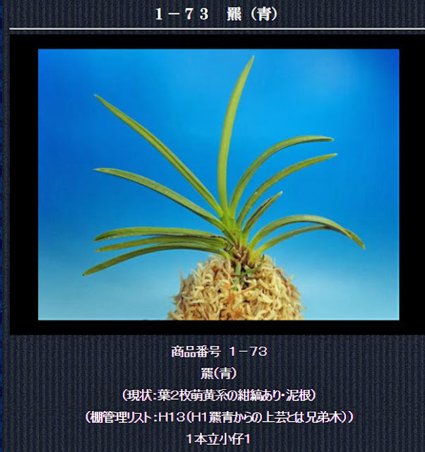 http://www.fuuran.jp/1-７３.htm 