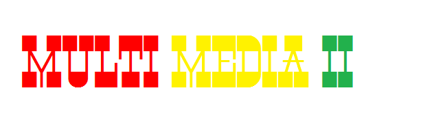 MULTIMEDIA II