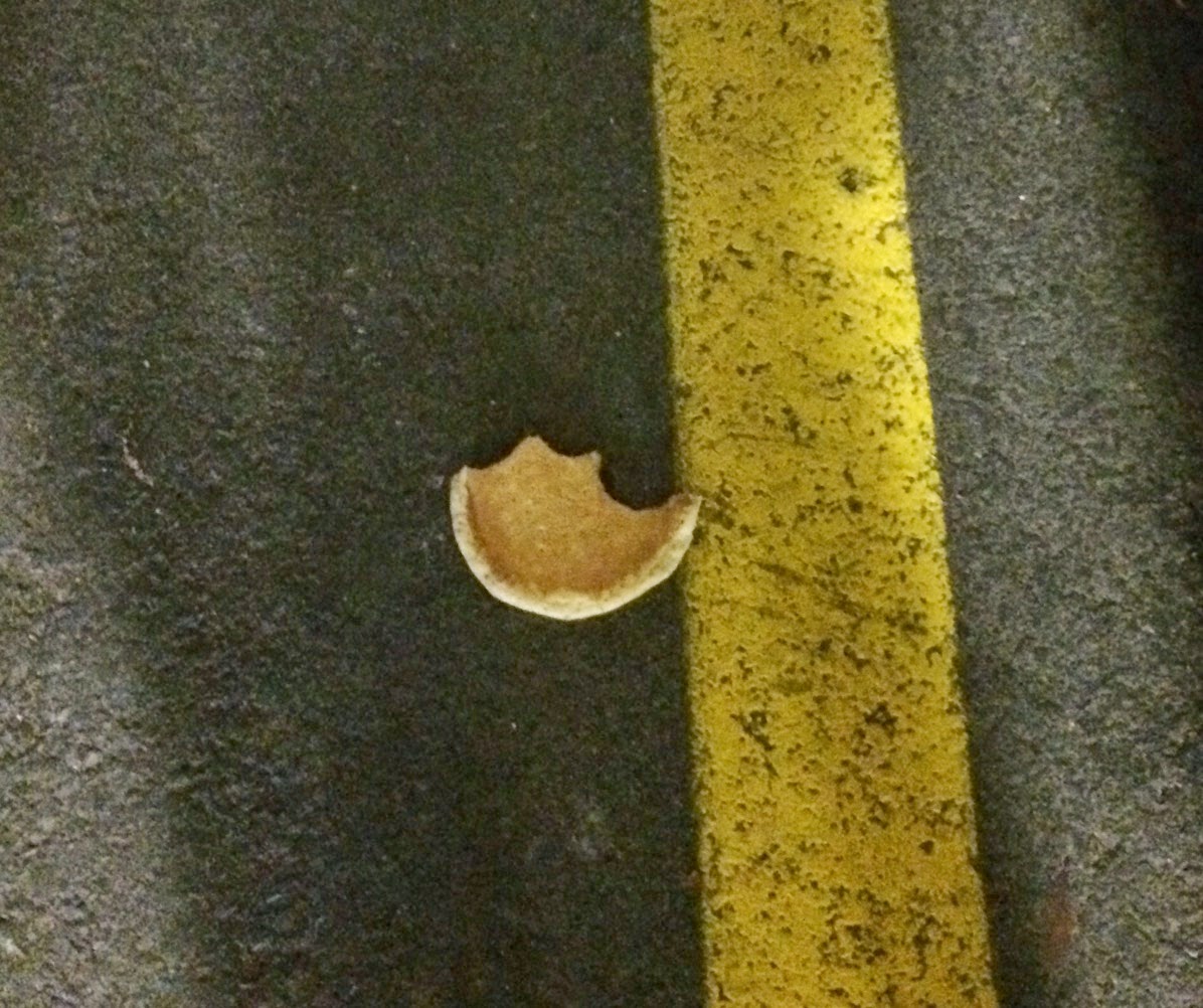 Pancake