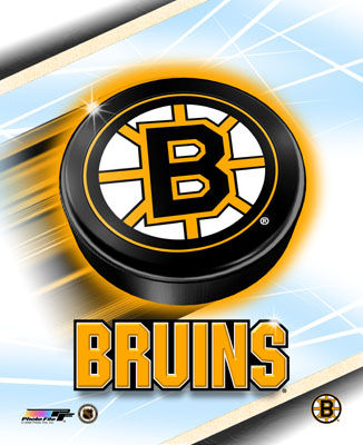 boston bruins logo. Boston bruins logo