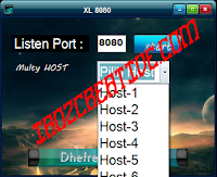XL - 8080 Inject Luna Multiple Host 1.0