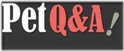 petq&a-logo6