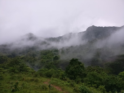 Keerippara Camp Shed