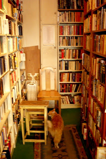 Tea and Tattered Pages bookstore