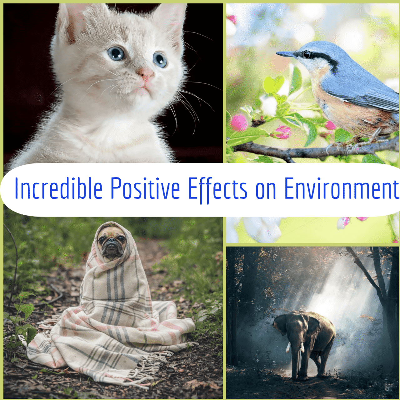 Incredible Positive Effects on Environment