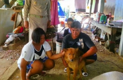 Pui perro de 2 años salva a bebe tirada en la basura 