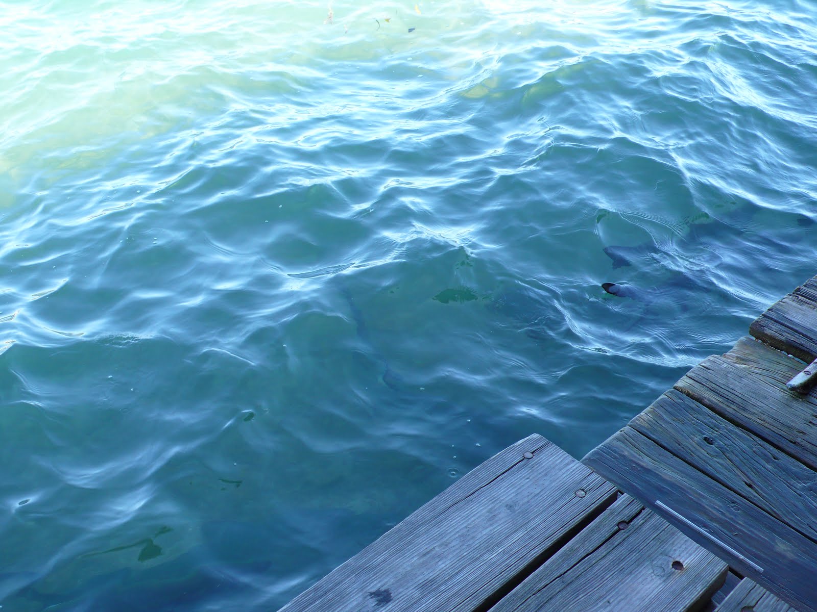 Dinghy Dock Culebra