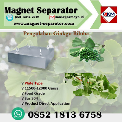 magnet separator