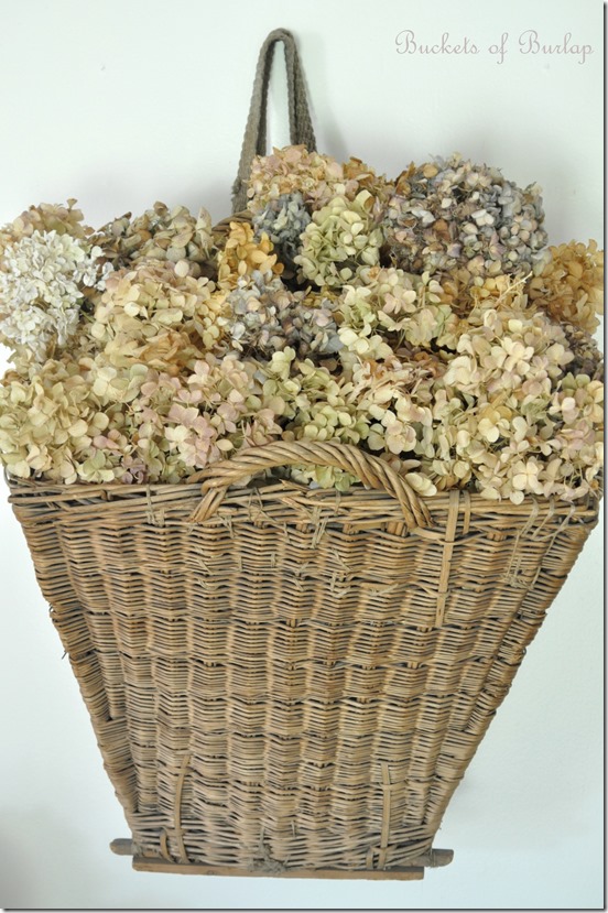 Dining room French harvest basket