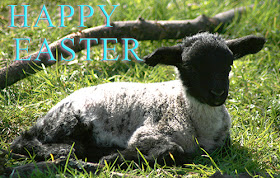 Lamb with Happy Easter
