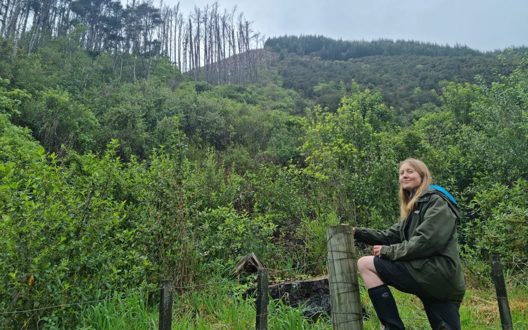 Cư dân Brook, Jen Lang ở ranh giới khu đất của cô với những cây thông chết.