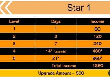 Uniqe Star business Plan