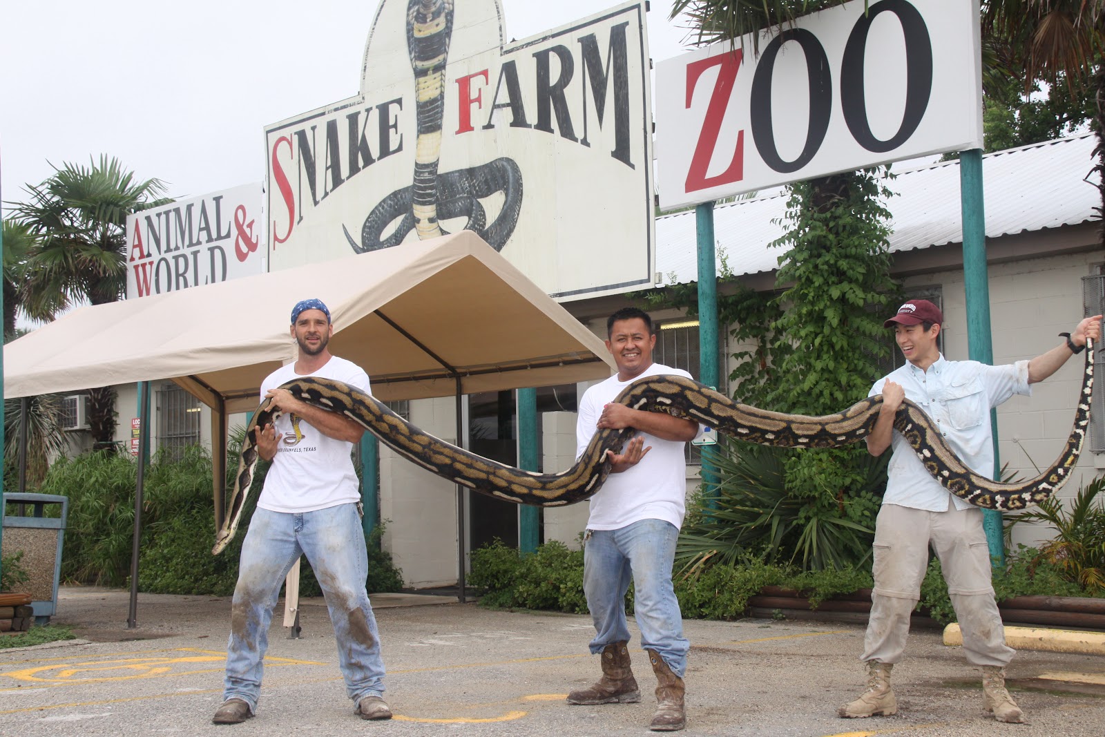 An American Naturalist Expedition Animal World And Snake Farm Zoo