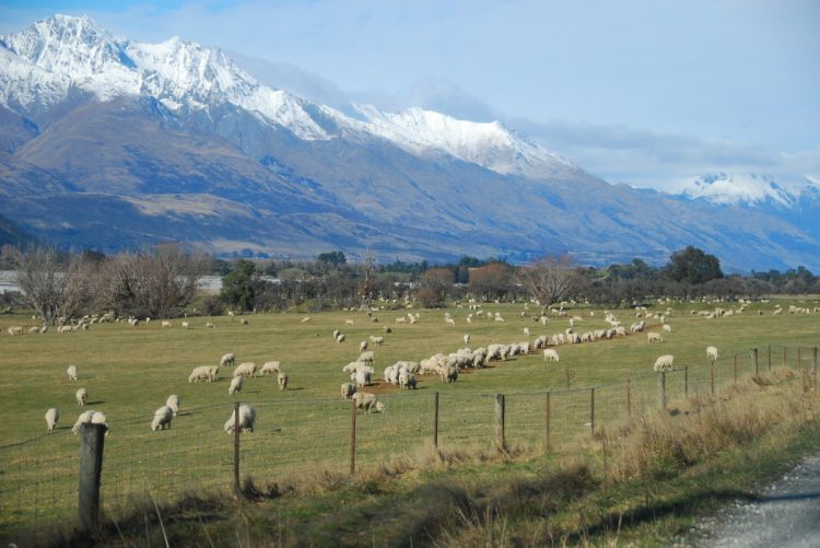 MOUNT ASPIRING IN NEW ZEALAND