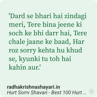 Hurt Sorry Shayari Hindi