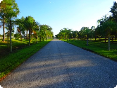 WP Franklin COE Campground